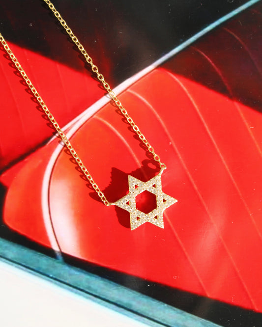 HB Star Of David Necklace